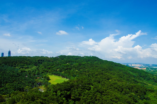 凤翼岭凤凰岭青秀山