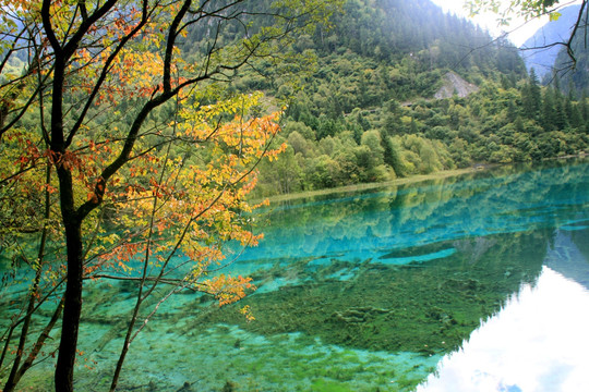 黄龙九寨