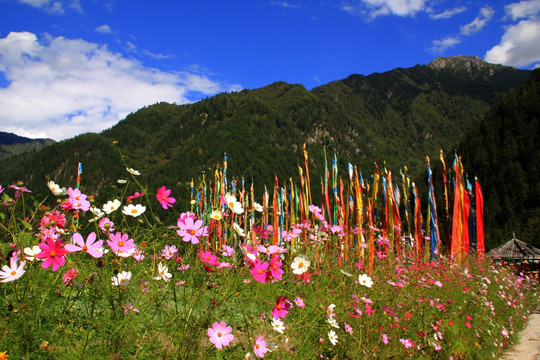 黄龙九寨