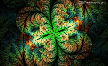 花紋圖案