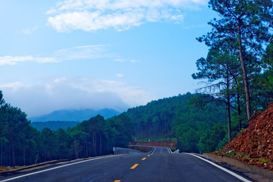 晨雾中的乡村公路