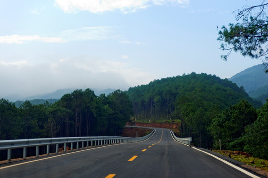 晨雾中的乡村公路