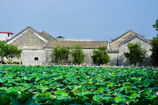 广州大岭村