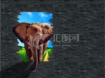 3D立體墻畫 3D墻貼