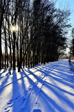 雪后的乡间小路