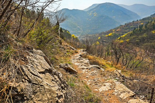 山乡 土路 踏青