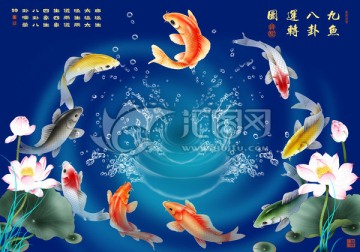 九魚(yú)荷花圖