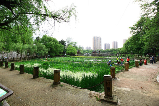 江西省鹰潭市梅园公园