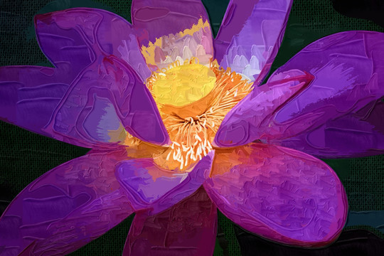 抽象畫  蓮花
