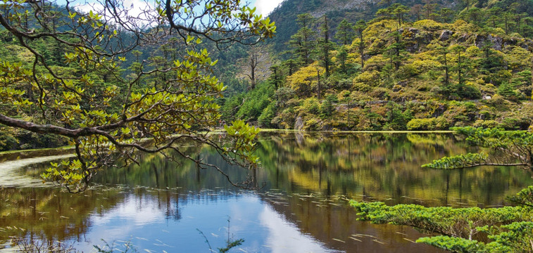 高山湿地