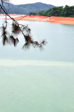 流溪河森林公园