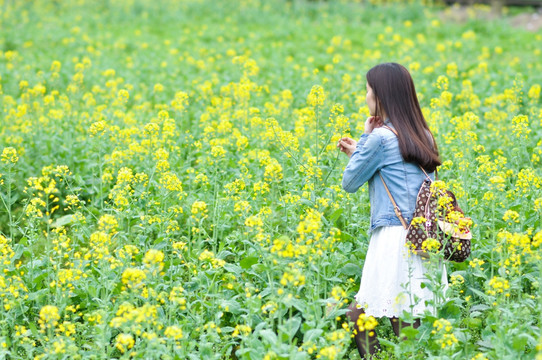 油菜花人像