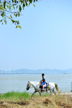 海边 骑马