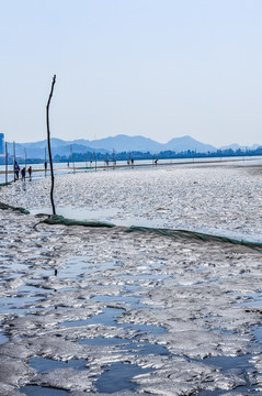 海滩 沙滩