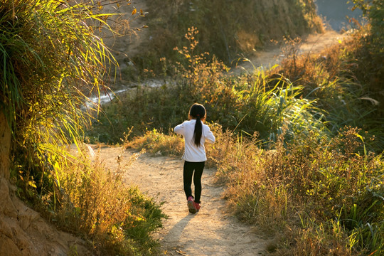 乡间小路