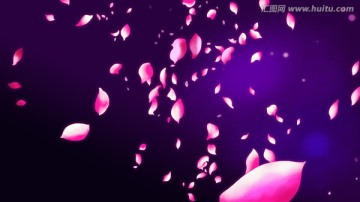 花瓣