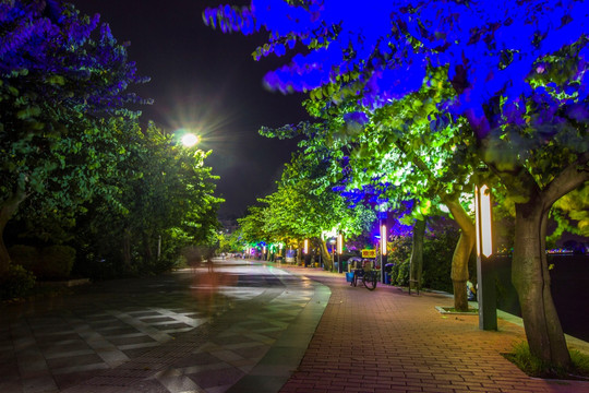 广东省肇庆市夜景