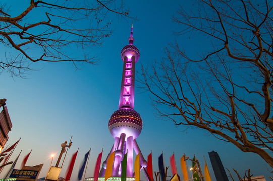 上海东方明珠夜景