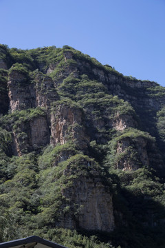 高山