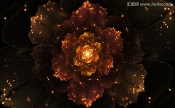 花紋圖案