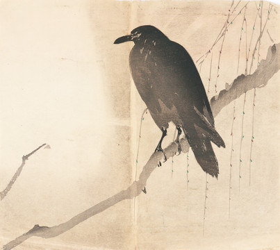 烏鴉花鳥浮世繪