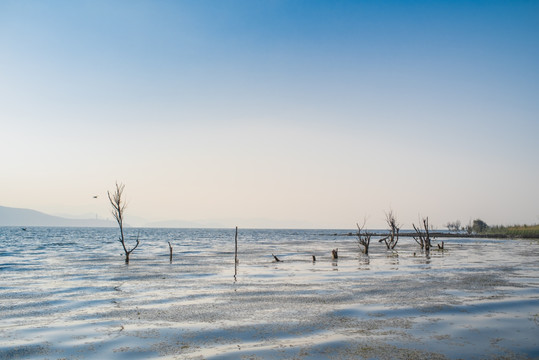 洱海风光