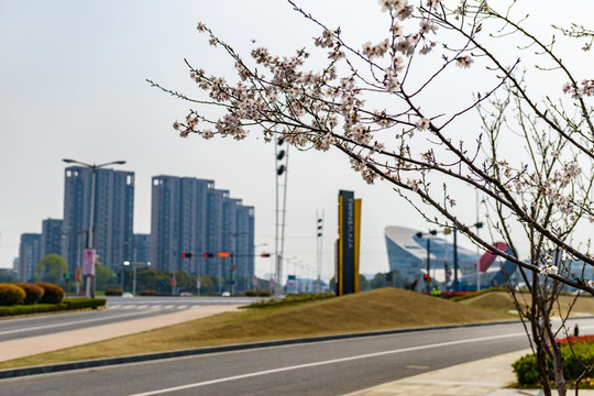 苏州科技城龙山路路口