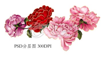 大朵花 內(nèi)有分層圖