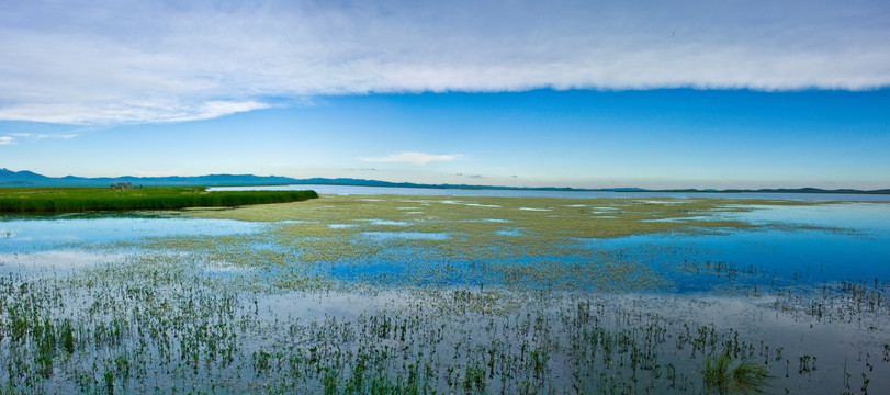 花湖