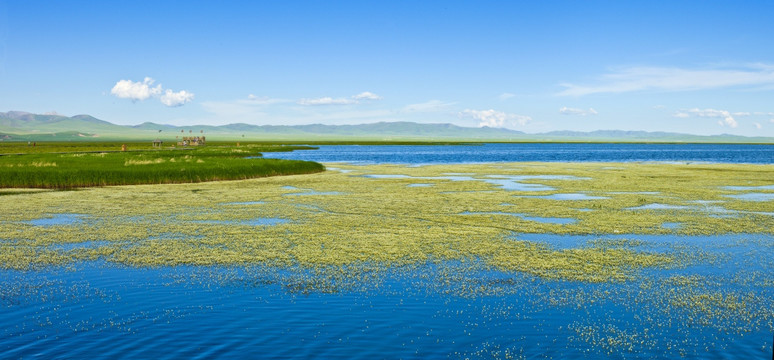 花湖