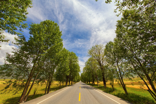 高原公路