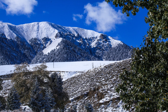 天山山脉积雪