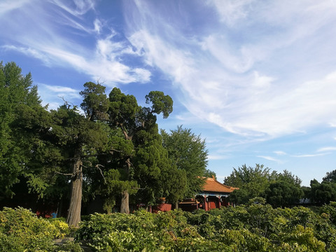 景山公園