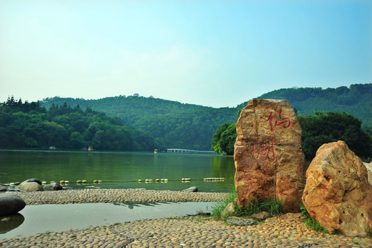 深圳仙湖植物园仙湖