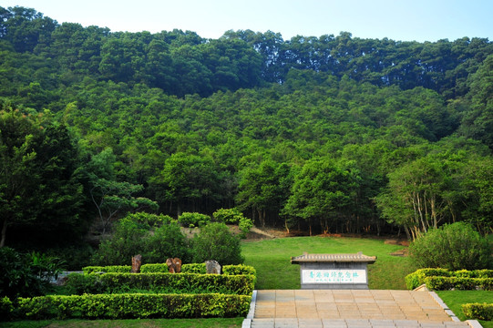 深圳仙湖植物园香港回归纪念林