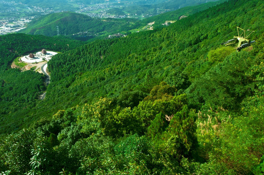 青山山坡