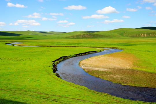 草原湿地牧场