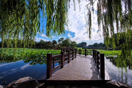 圓明園遺址公園