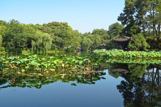 西湖美景