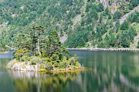 高山湿地