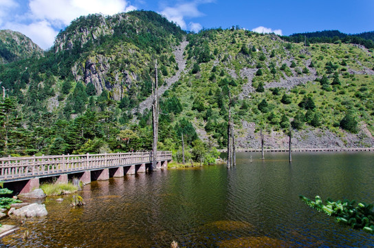 高原湿地全景图