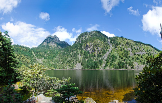 高原湿地全景图