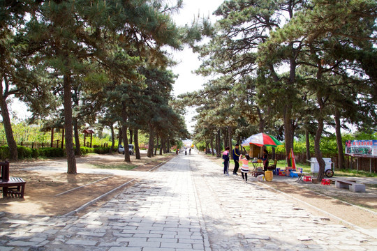 清东陵 景区路