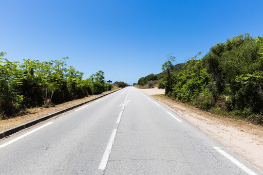 科西嘉岛公路