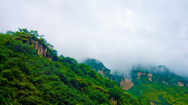 悬崖 树木 大山