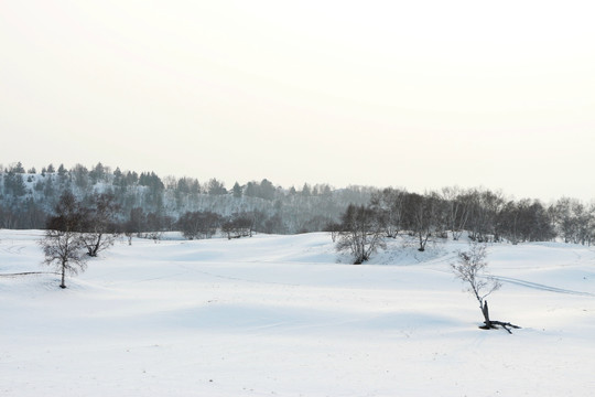 唯美雪景