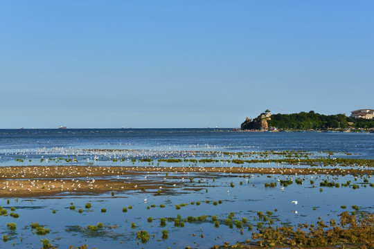 北戴河湿地公园