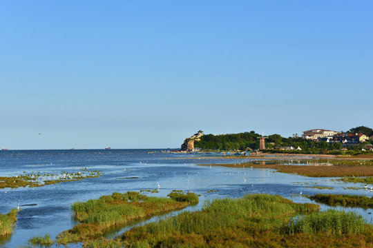 北戴河湿地公园