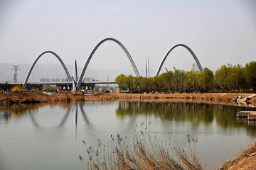 汾河湿地 北中环桥