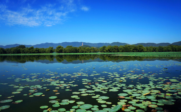 颐和园西湖玉泉山